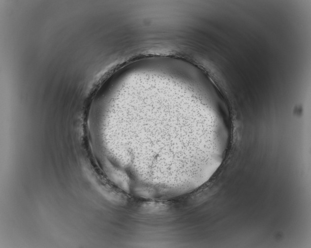 X0000112480354200909071203