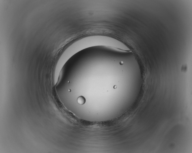 X0000112480356200909071203