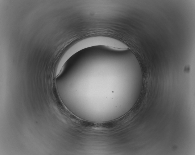 X0000112480360200909071203