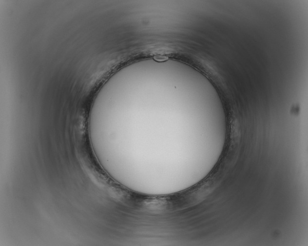 X0000112480362200909071203