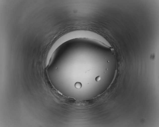 X0000112480368200909071203