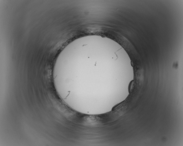 X0000112480372200909071203