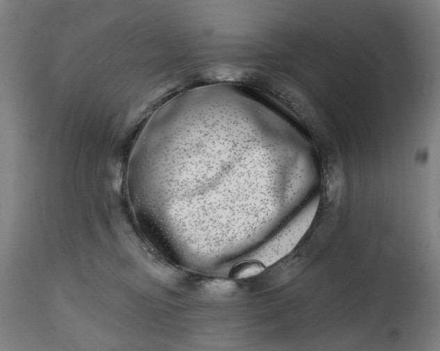 X0000112480374200909071203