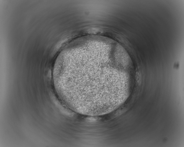 X0000112480375200909071203