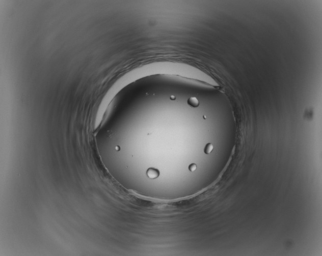 X0000112480376200909071203