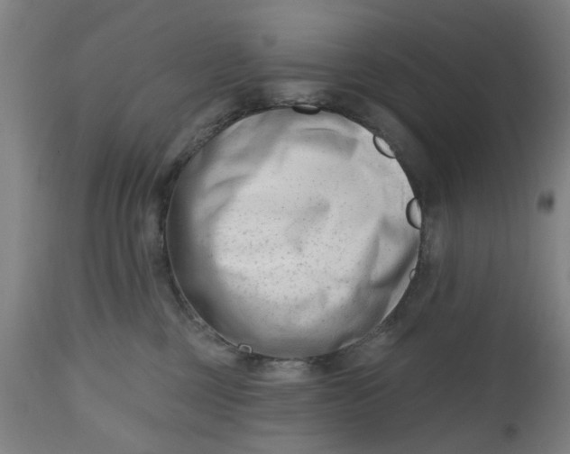 X0000112480377200909071203