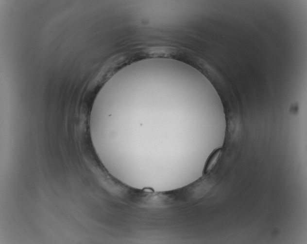 X0000112480379200909071203