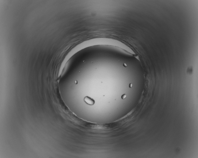 X0000112480380200909071203