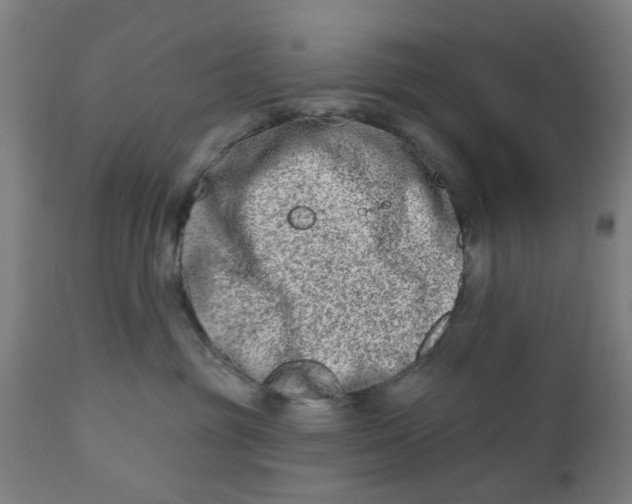 X0000112480381200909071203