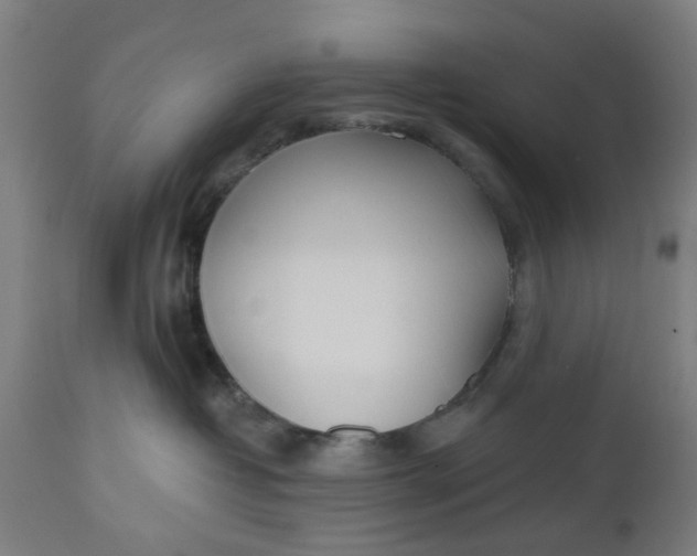 X0000112480382200909071203