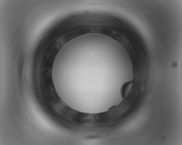 X0000112480383200909071203