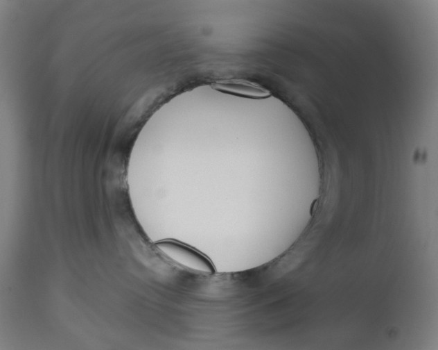 X0000112480384200909071203