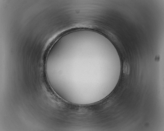 X0000112480388200909071203