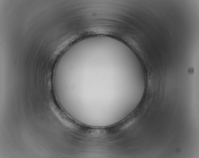 X0000112480398200909071202