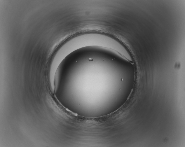 X0000112480399200909071202