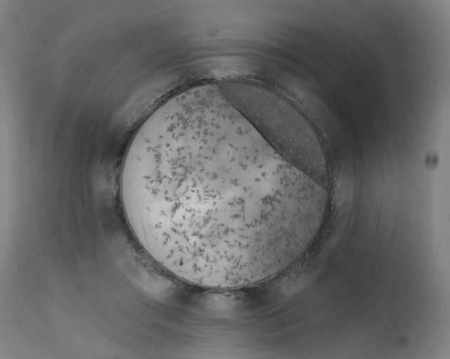 X0000112480405200909071202