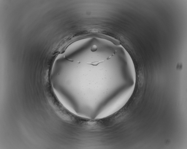 X0000112480406200909071202