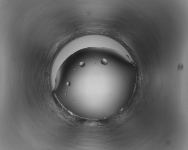 X0000112480407200909071202