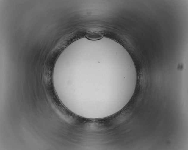 X0000112480408200909071202