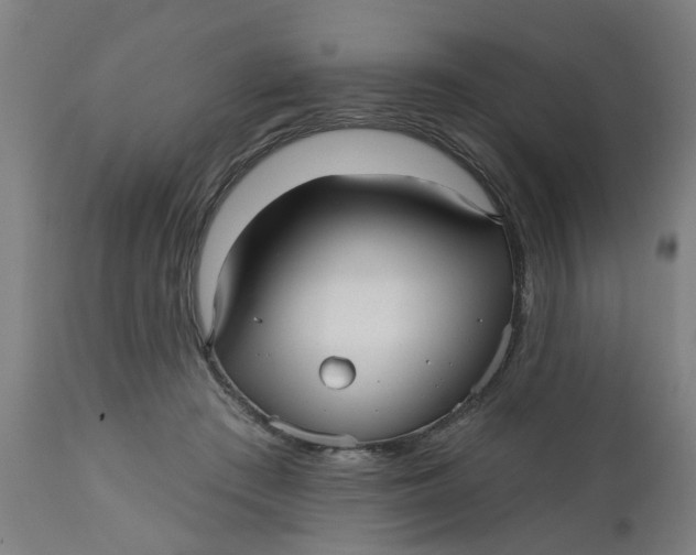 X0000112480409200909071202