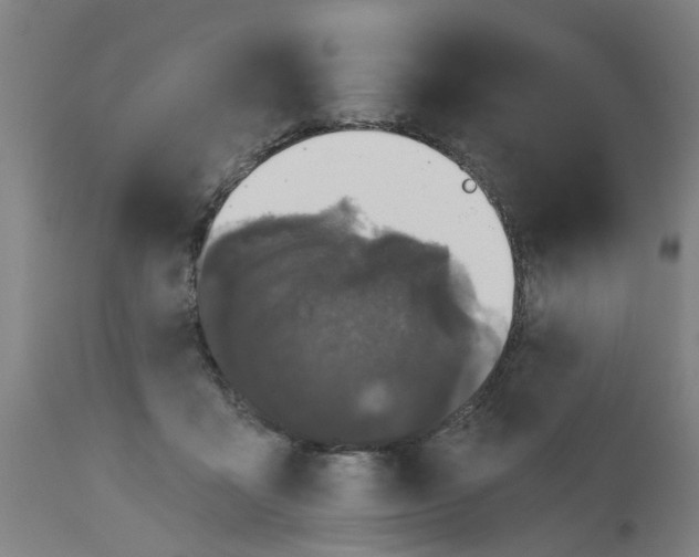 X0000112480411200909071202