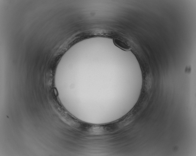 X0000112480413200909071202