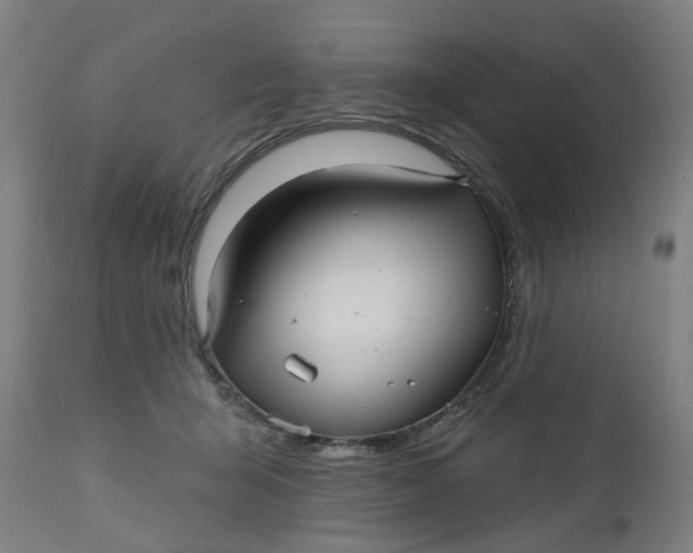 X0000112480415200909071202