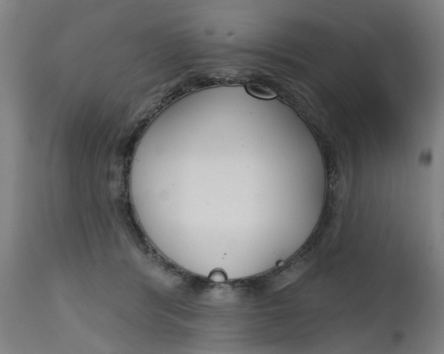 X0000112480416200909071202