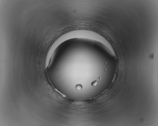 X0000112480417200909071202