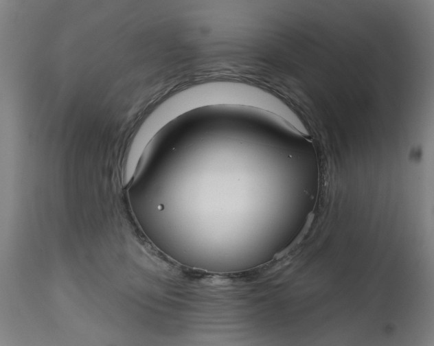 X0000112480419200909071202