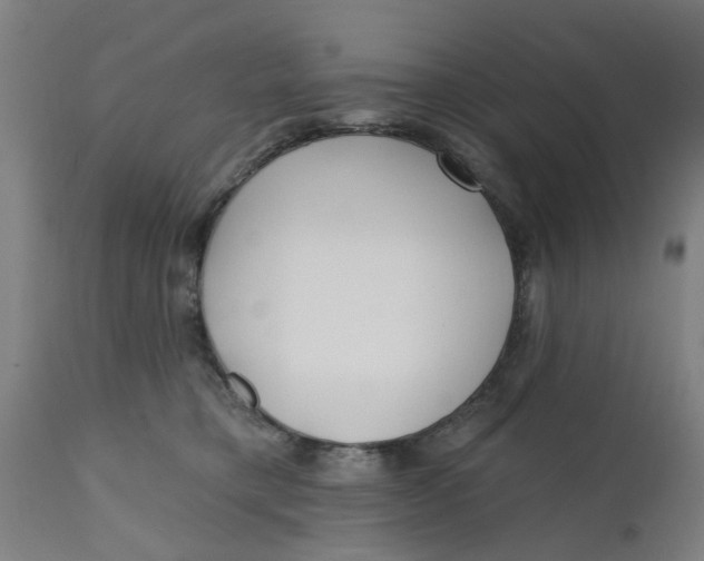 X0000112480421200909071202