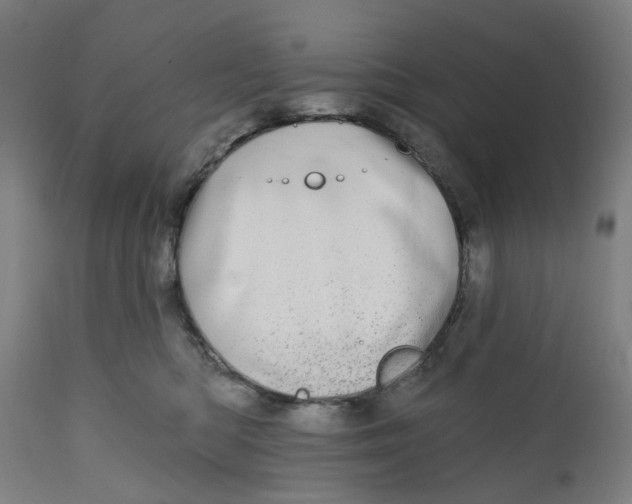 X0000112480422200909071202