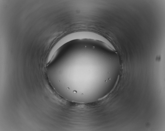 X0000112480423200909071202