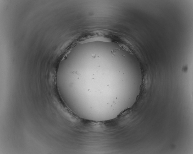 X0000112480424200909071202