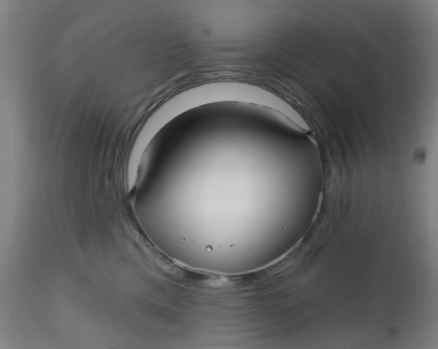 X0000112480425200909071202