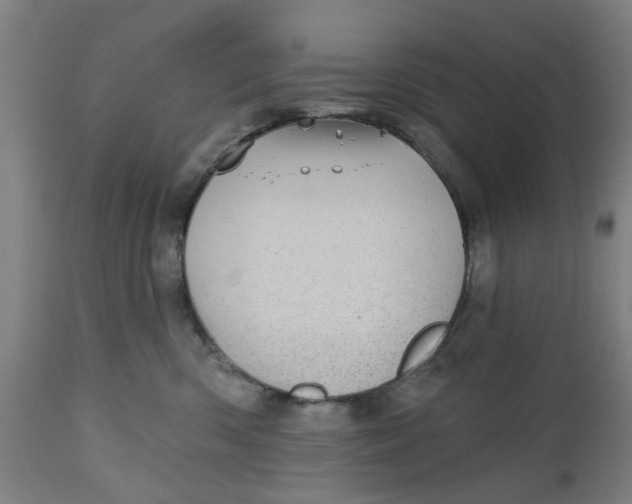 X0000112480426200909071202