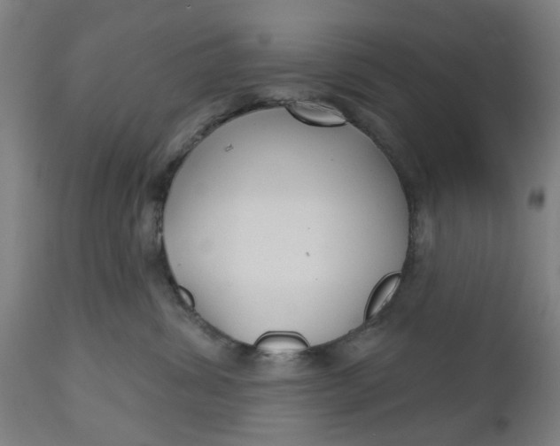 X0000112480428200909071202