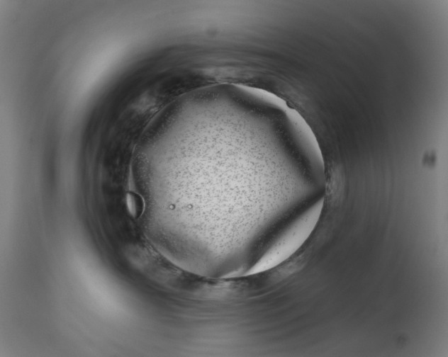 X0000112480430200909071202