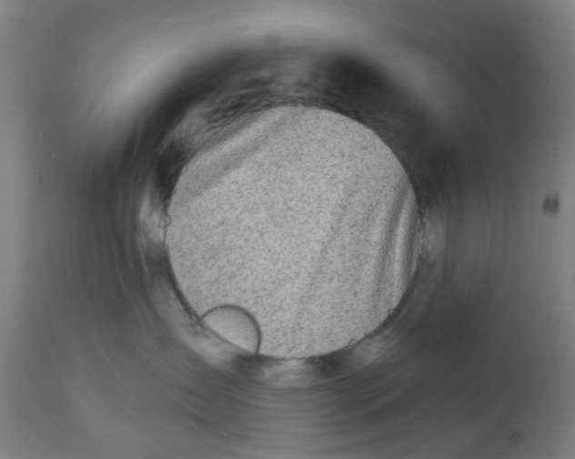 X0000112480431200909071202