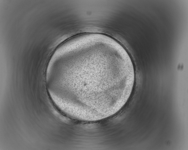 X0000112480433200909071201