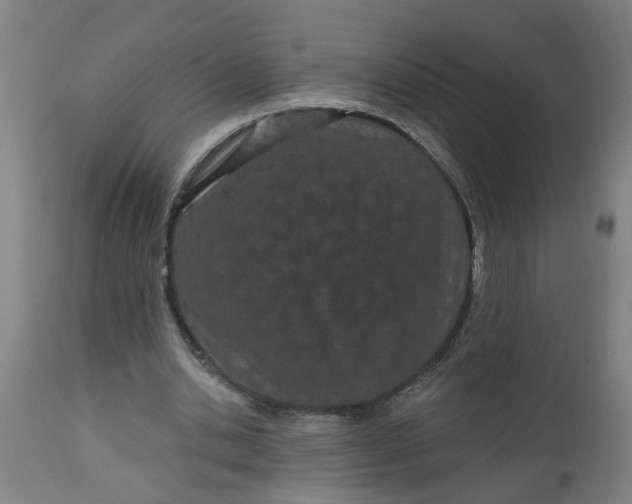 X0000112480438200909071201