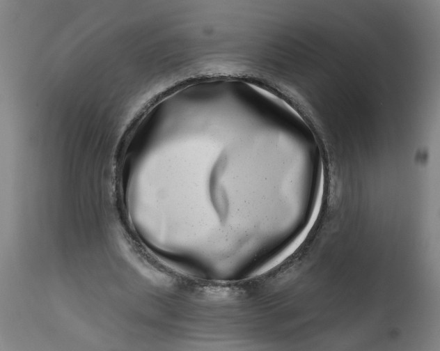 X0000112480439200909071201