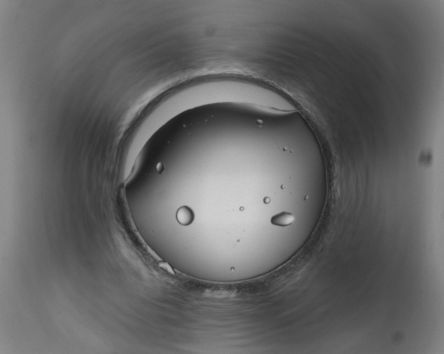 X0000112480440200909071201