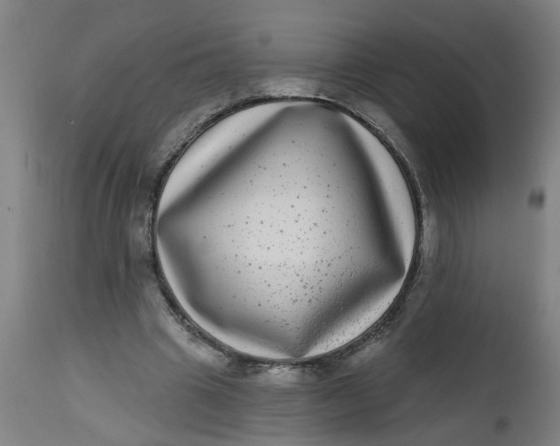 X0000112480441200909071201