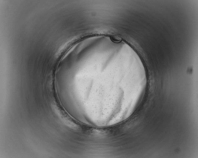 X0000112480442200909071201