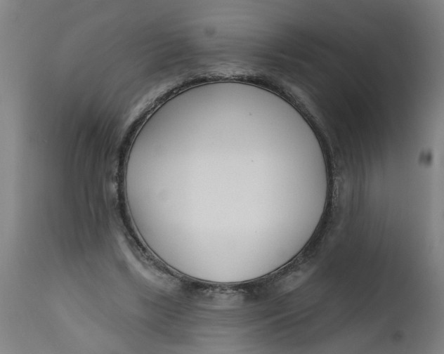 X0000112480443200909071201