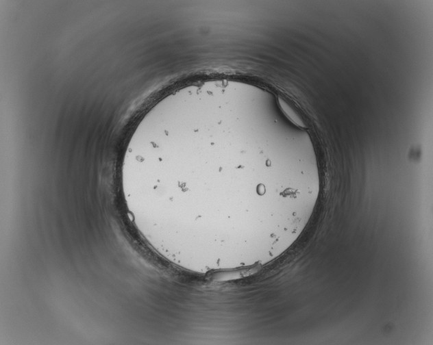 X0000112480444200909071201