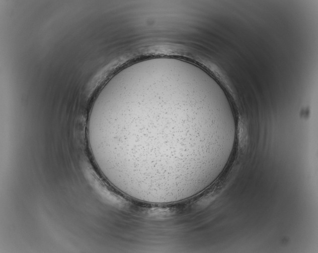 X0000112480445200909071201