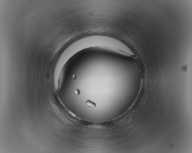 X0000112480448200909071201