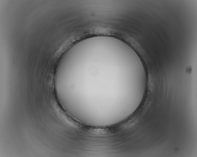 X0000112480449200909071201